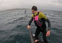 (VIDEO) SUSTO EN EL MAR: UN TIBURÓN BLANCO PERSIGUIÓ A DOS SURFISTAS EN CALIFORNIA
