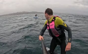 (VIDEO) SUSTO EN EL MAR: UN TIBURÓN BLANCO PERSIGUIÓ A DOS SURFISTAS EN CALIFORNIA