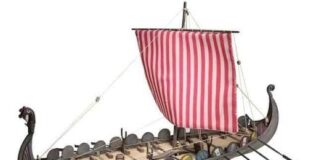 EL REMO VIKINGO, LA TRADICIÓN NORUEGA QUE SE CONVIRTIÓ EN FUROR DURANTE EL MUNDIAL