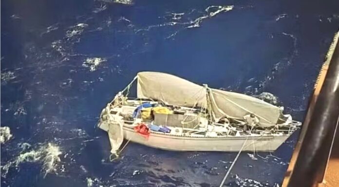 30 DÍAS A LA DERIVA EN EL PACÍFICO: LA INCREÍBLE HISTORIA DE SUPERVIVENCIA DE UN NAVEGANTE SOLITARIO