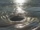 VIDEO – IMPACTANTE REMOLINO EN EL RÍO PARANÁ SORPRENDIÓ A UN GRUPO DE PESCADORES FRENTE A VILLA CONSTITUCIÓN
