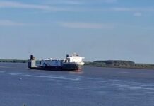 CHINA ZORRILLA: EL FERRY ELÉCTRICO LLEGÓ A NUEVA PALMIRA A BORDO DEL BLACK MARLIN