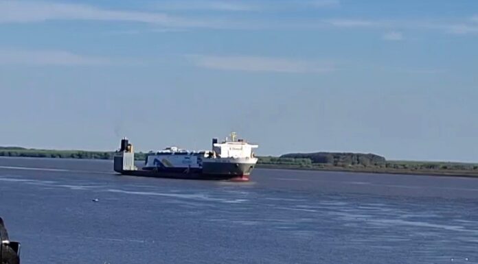 CHINA ZORRILLA: EL FERRY ELÉCTRICO LLEGÓ A NUEVA PALMIRA A BORDO DEL BLACK MARLIN