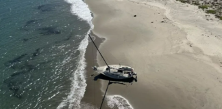 RESCATAN A UN NAVEGANTE TRAS QUEDAR VARADO SU VELERO EN UNA ISLA DE CALIFORNIA