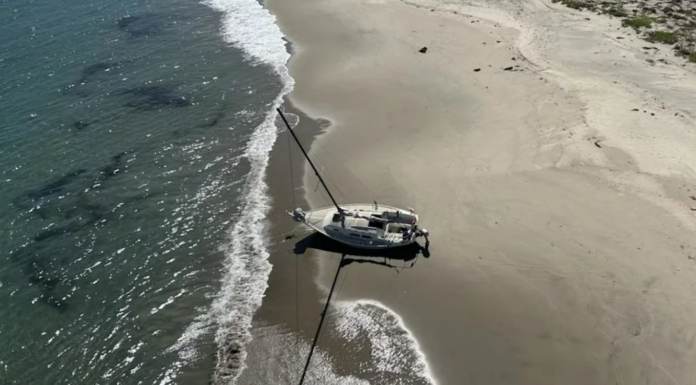 RESCATAN A UN NAVEGANTE TRAS QUEDAR VARADO SU VELERO EN UNA ISLA DE CALIFORNIA