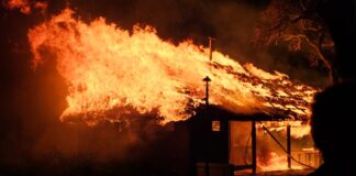 INCENDIO EN EL CLUB NÁUTICO OLIVOS: EL FUEGO AFECTÓ EL SECTOR DE QUINCHOS