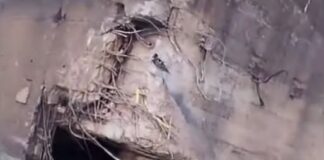 BARCAZA PARAGUAYA CHOCÓ CONTRA LAS ESTRUCTURAS DE PROTECCIÓN DEL PUENTE GENERAL BELGRANO