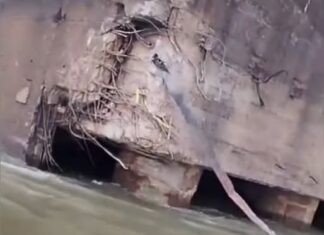 BARCAZA PARAGUAYA CHOCÓ CONTRA LAS ESTRUCTURAS DE PROTECCIÓN DEL PUENTE GENERAL BELGRANO