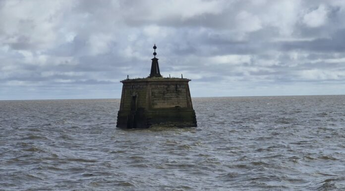 DELTA DEL PARANÁ Y RÍO DE LA PLATA: CÓMO ESTARÁ EL TIEMPO PARA NAVEGAR ESTE FIN DE SEMANA